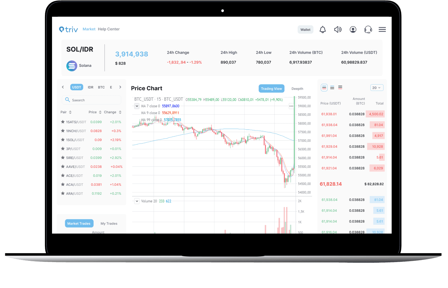 HODL Solana
